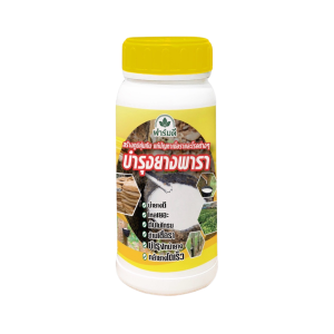 พาราดี